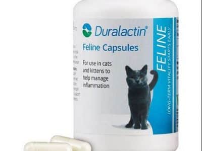 Pros and Cons of Duralactin Pet Medicine