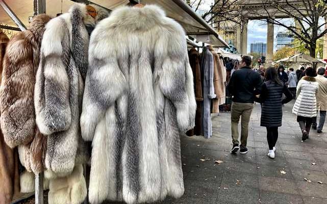4 Things You Need To Know To Meet Up The Ends Of Faux fur vest