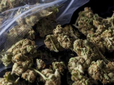 8 Tips on Selecting Online Cannabis Shops for New Users 2 8 Tips on Selecting Online Cannabis Shops for New Users