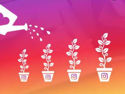 Guide to Grow Instagram Business Account Organically in 2022