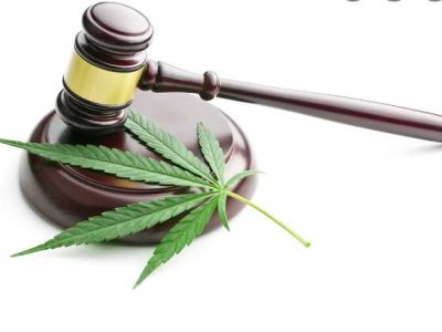 Complete Guide on Cannabis Lawyers