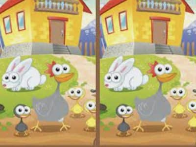 FAQs About Spot The Difference Games